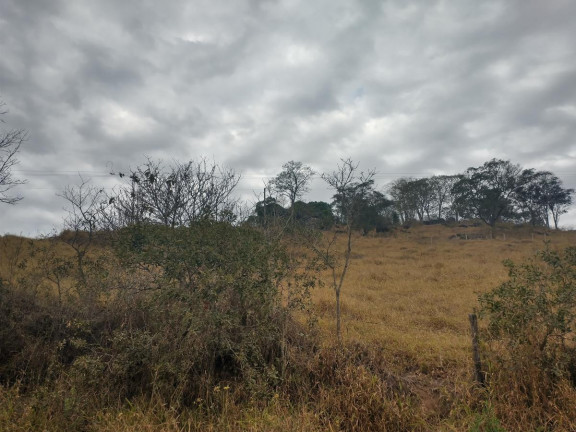 Imagem Chácara à Venda, 20.000 m² em Rio Pardo - Caldas