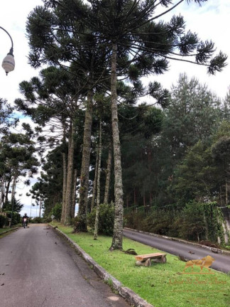 Imagem Terreno à Venda, 2.450 m² em Capivari - Campos Do Jordão