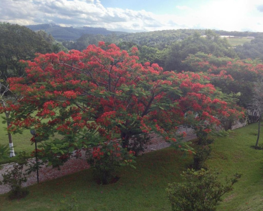 Imagem Imóvel com 10 Quartos à Venda, 600 m² em Jardim Maracanã - Atibaia