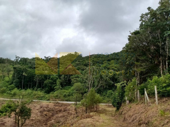 Imagem Fazenda à Venda, 64.288 m² em Barra Avencal - Rio Dos Cedros