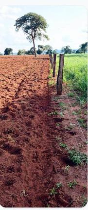 Imagem Fazenda à Venda, 103 m² em Zona Rural - Itarumã