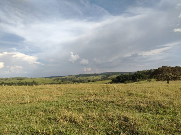 Imagem Imóvel à Venda, 10 m² em área Rural De Avaí - Avaí