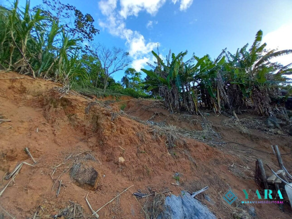 Imagem Terreno à Venda, 4.275 m² em Praia Grande - Ilhabela