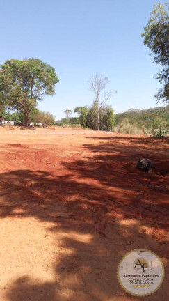 Imagem Imóvel à Venda, 12.276 m² em Chácaras São Pedro - Aparecida De Goiânia