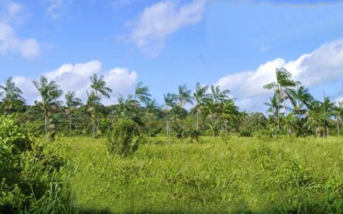 Imagem Fazenda à Venda,  em Castanhal