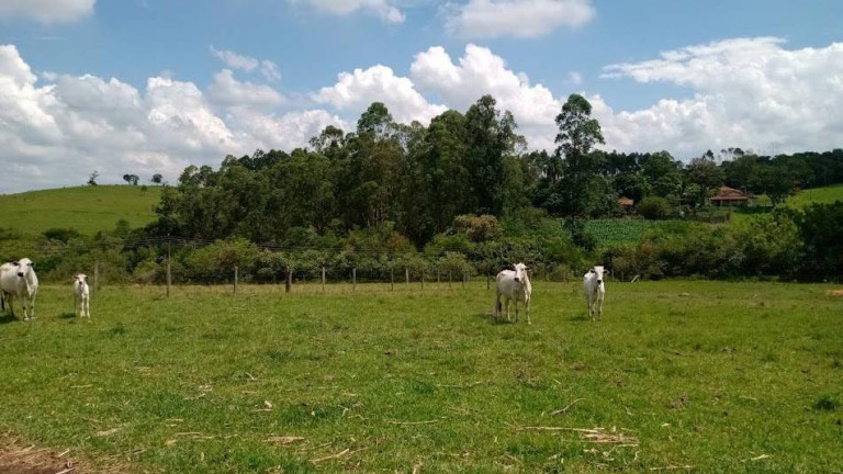 Imagem Chácara com 2 Quartos à Venda, 166 m² em Bairro Varginha - Itapetininga