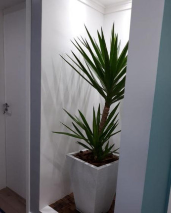 Imagem Apartamento com 3 Quartos à Venda, 110 m² em Cambuci - São Paulo
