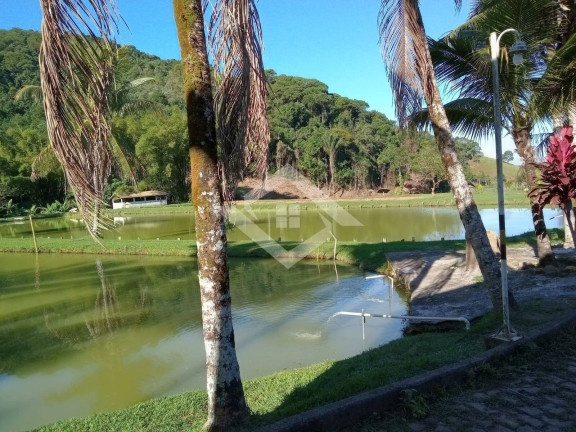 Imagem Fazenda à Venda, 544.000 m² em Professor Souza - Casimiro De Abreu