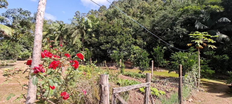 Imagem Imóvel com 4 Quartos à Venda, 7.000 m² em Loro - Major Gercino