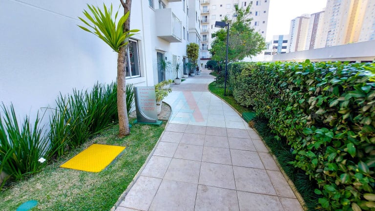 Imagem Apartamento com 3 Quartos à Venda, 60 m²em Vila Alzira - Santo André