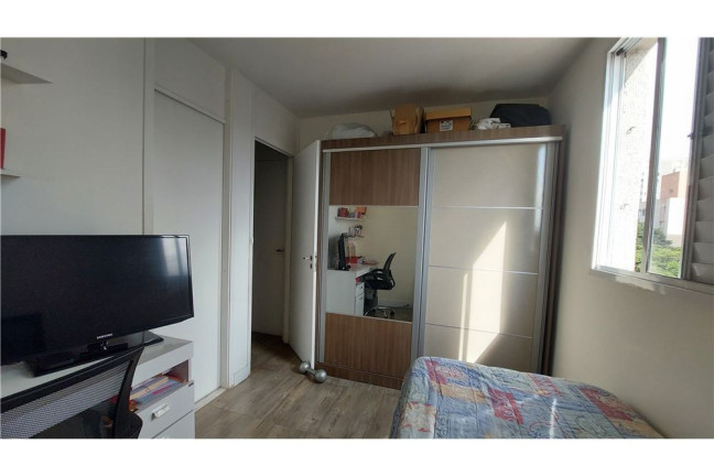 Imagem Apartamento com 3 Quartos à Venda, 60 m² em Vila Antonieta - São Paulo
