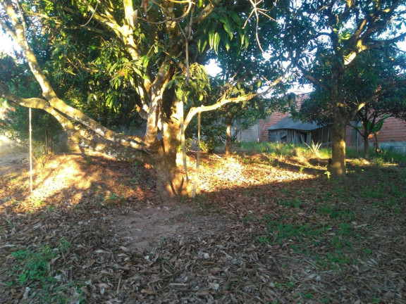 Imagem Chácara com 2 Quartos à Venda, 1.180 m² em Campo Do Meio - Araçoiaba Da Serra