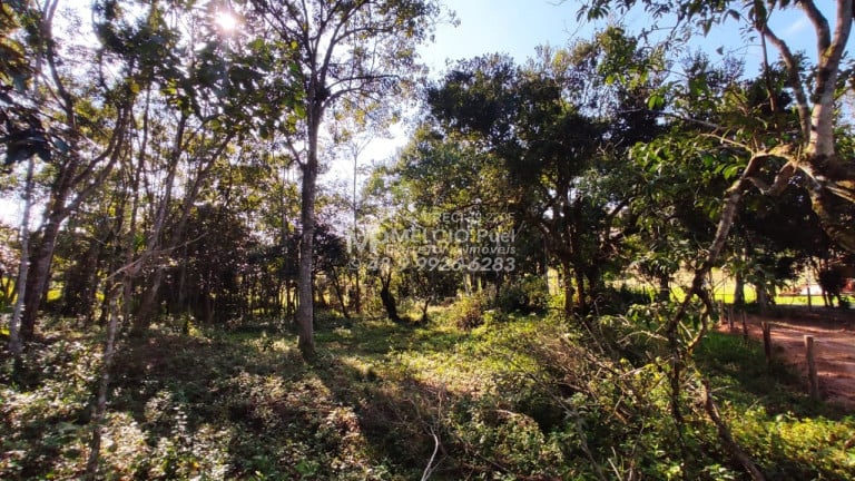 Imagem Imóvel à Venda,  em Entrada Do Moura Canelinha Sc - Canelinha