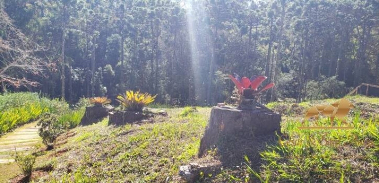 Imagem Terreno à Venda, 1.300 m² em Campos Do Jordão - Campos Do Jordão