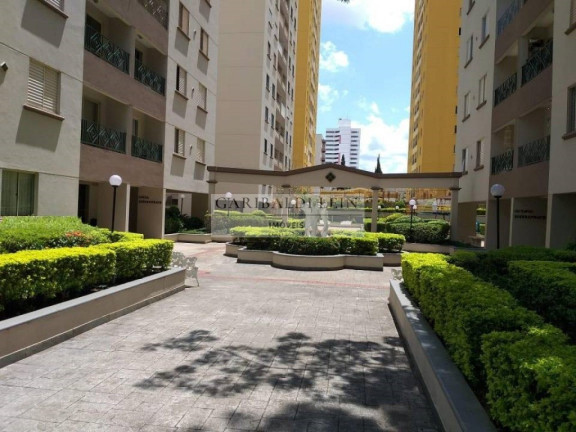 Imagem Apartamento com 3 Quartos à Venda, 75 m² em Vila Rossi - Campinas