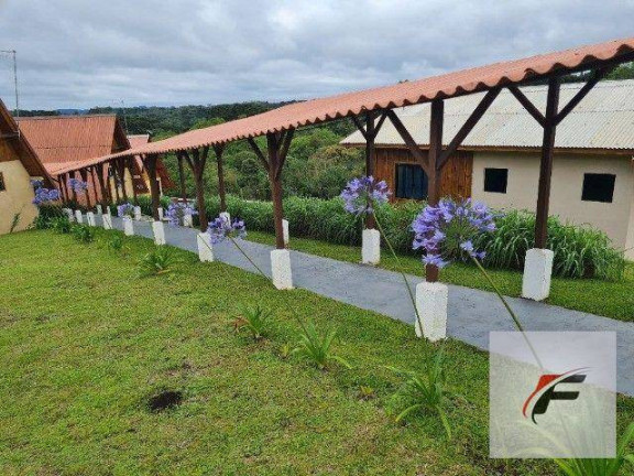 Imagem Chácara com 4 Quartos à Venda, 40.000 m² em Centro - Campina Grande Do Sul