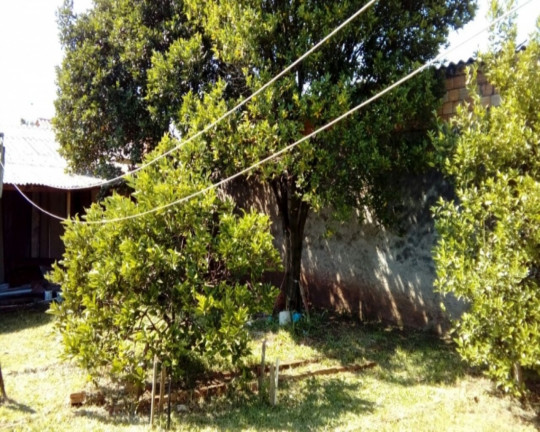 Imagem Imóvel com 2 Quartos à Venda,  em Vila Fátima - Cachoeirinha