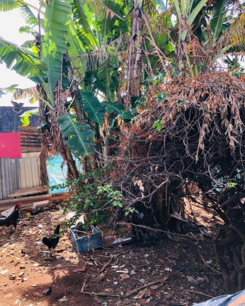 Imagem Imóvel à Venda, 200 m² em Parque Cidade Campinas - Campinas