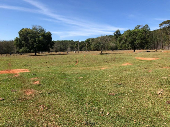 Imagem Imóvel à Venda, 21 m² em área Rural De Paulistânia - Paulistânia