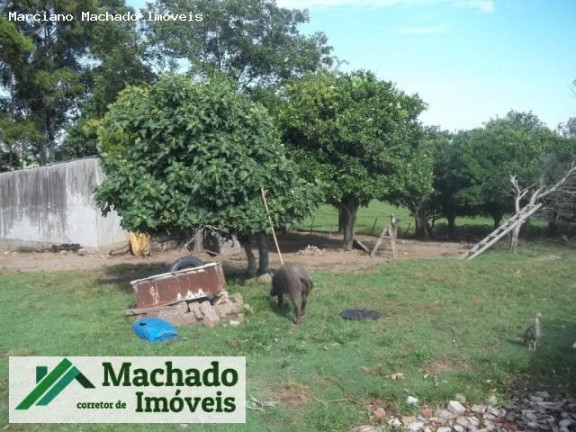 Imagem Imóvel à Venda, 20 m² em Rural - São Sepé