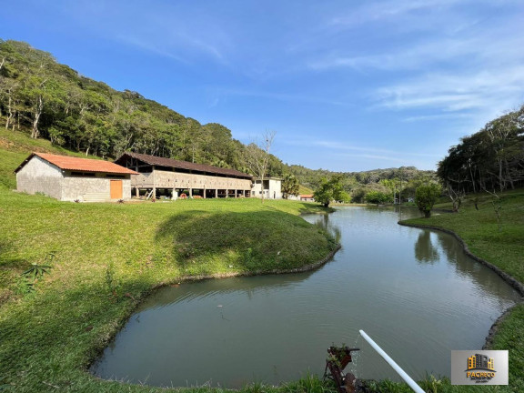 Imagem Imóvel com 7 Quartos à Venda, 242.000 m² em Pocinho - São Lourenço Da Serra