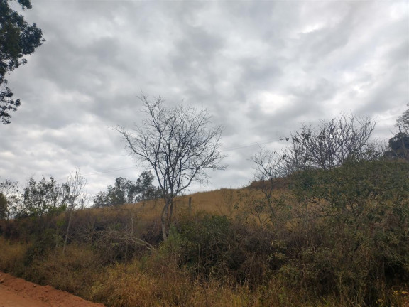 Imagem Chácara à Venda, 20.000 m² em Rio Pardo - Caldas