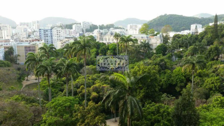 Imagem Apartamento com 3 Quartos à Venda, 264 m² em Laranjeiras - Rio De Janeiro