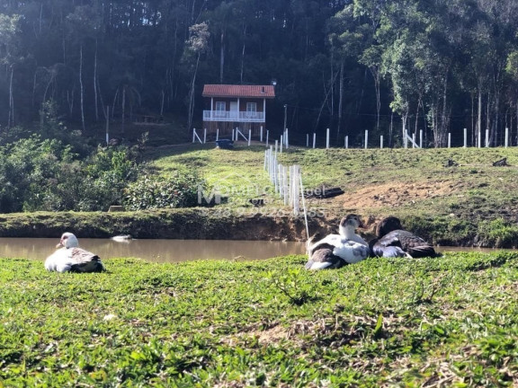 Imagem Imóvel com 4 Quartos à Venda,  em Arnópolis - Alfredo Wagner Sc