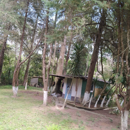 Imagem Fazenda à Venda, 5.000 m² em Cascatas - Francisco Morato