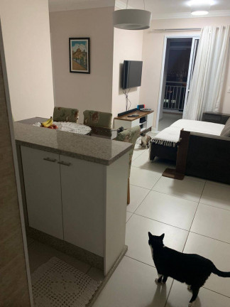 Imagem Apartamento com 3 Quartos à Venda, 74 m² em Chácara Belenzinho - São Paulo