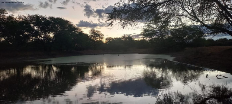 Imagem Fazenda à Venda, 950 m² em Zona Rural - Verdelândia