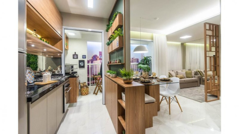 Imagem Apartamento com 2 Quartos à Venda, 42 m² em Vila Guaca - São Paulo