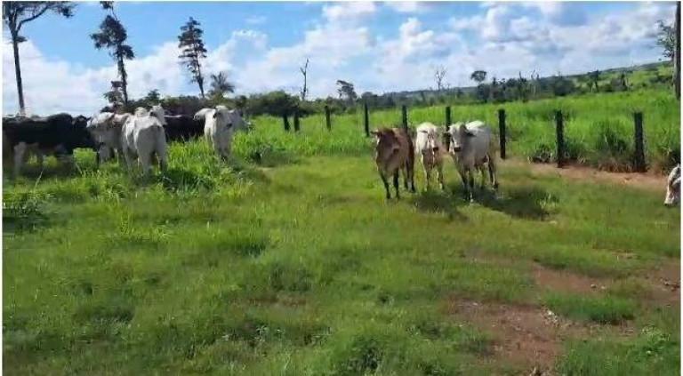 Imagem Chácara à Venda, 94 m² em Zona Rural - Confresa