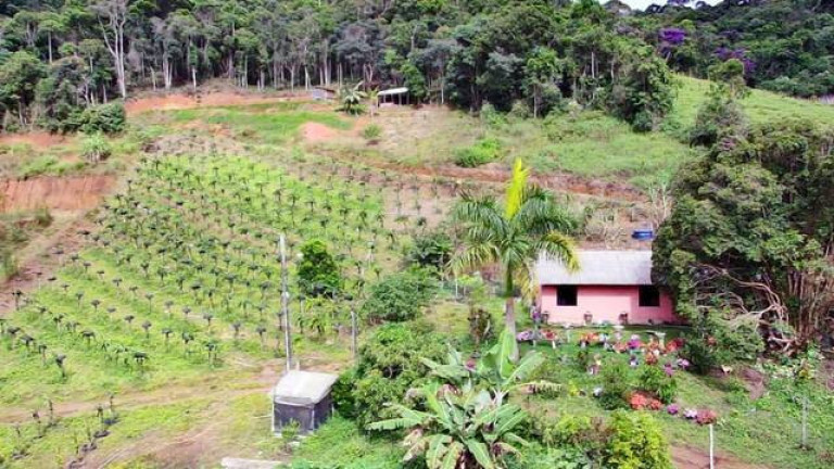 Imagem Chácara com 3 Quartos à Venda, 20 m² em Conquista - - Nova Friburgo