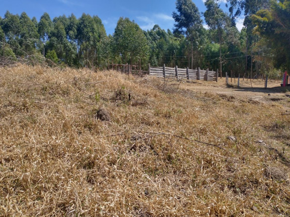 Imagem Chácara à Venda, 1.000 m² em Pocinhos Do Rio Verde - Caldas