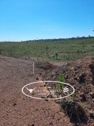 Imagem Fazenda à Venda, 23 m² em Zona Rural - Aripuanã