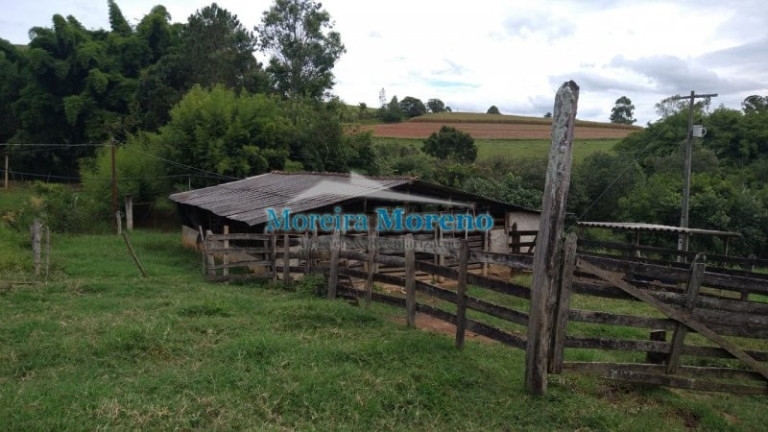 Imagem Imóvel com 2 Quartos à Venda, 9 m² em Zona Rural - Borda Da Mata