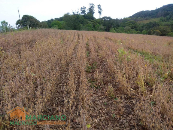 Imagem Terreno à Venda, 79 m² em Rural - Encruzilhada Do Sul