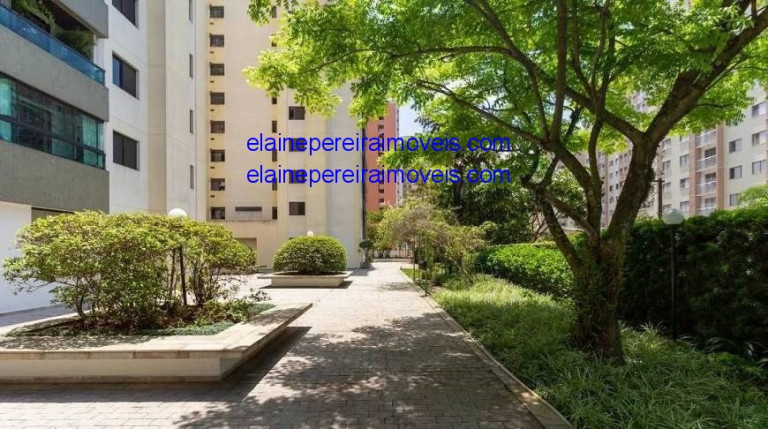 Imagem Apartamento com 3 Quartos à Venda, 62 m² em Jardim Das Vertentes - São Paulo