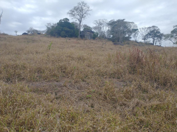 Imagem Chácara à Venda, 20.000 m² em Rio Pardo - Caldas