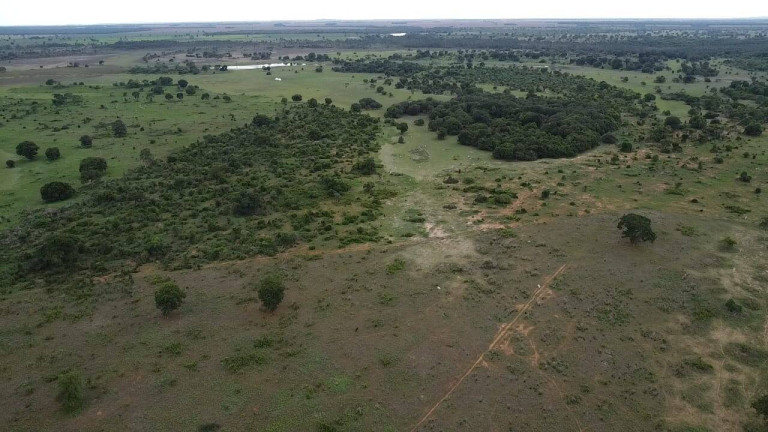 Imagem Fazenda à Venda, 75 m² em Zona Rural - Montes Claros De Goiás