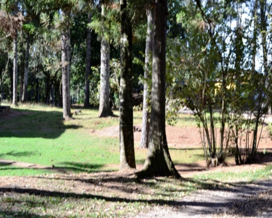Imagem Imóvel com 4 Quartos à Venda,  em Piá - Nova Petrópolis