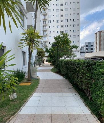 Imagem Apartamento com 3 Quartos à Venda, 65 m² em Vila Alzira - Santo André