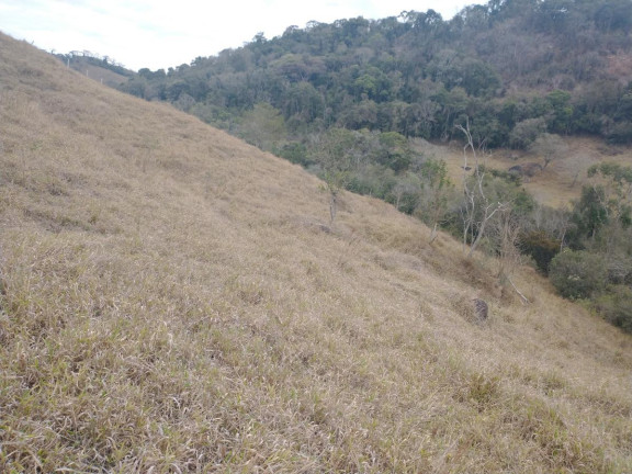 Imagem Chácara à Venda, 20.000 m² em Rio Pardo - Caldas