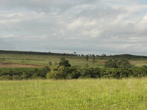Imagem Chácara com 15 Quartos à Venda, 41.140.000 m² em Zona Rural - Angatuba