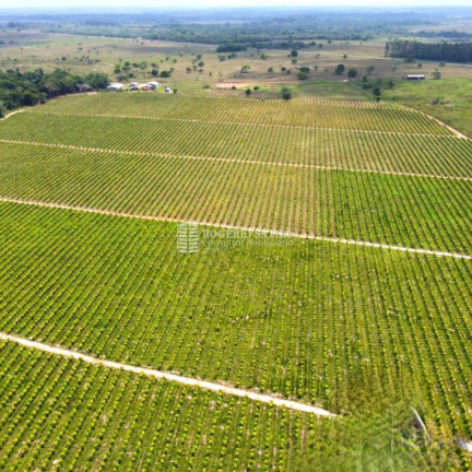 Imagem Imóvel com 3 Quartos à Venda, 9.600.000 m² em Centro  - Tomé-açú