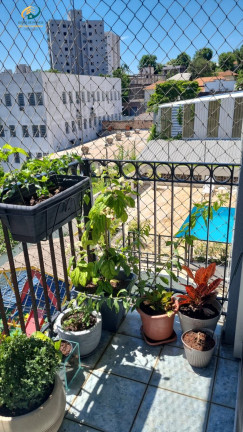 Imagem Apartamento com 2 Quartos à Venda, 60 m² em Vila Da Saúde - São Paulo