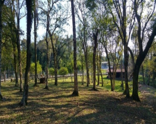 Imagem Imóvel com 2 Quartos à Venda, 110 m² em Fazenda Pirajá - Nova Petrópolis
