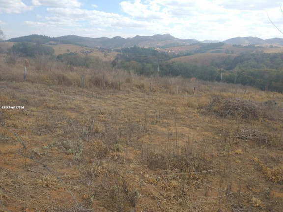 Imagem Terreno à Venda, 500 m² em Coroado - Caldas