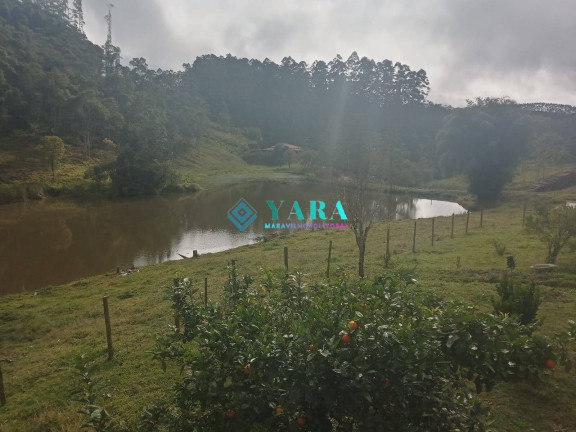 Imagem Chácara com 10 Quartos à Venda, 20.000 m² em Horto Florestal - Ubatuba